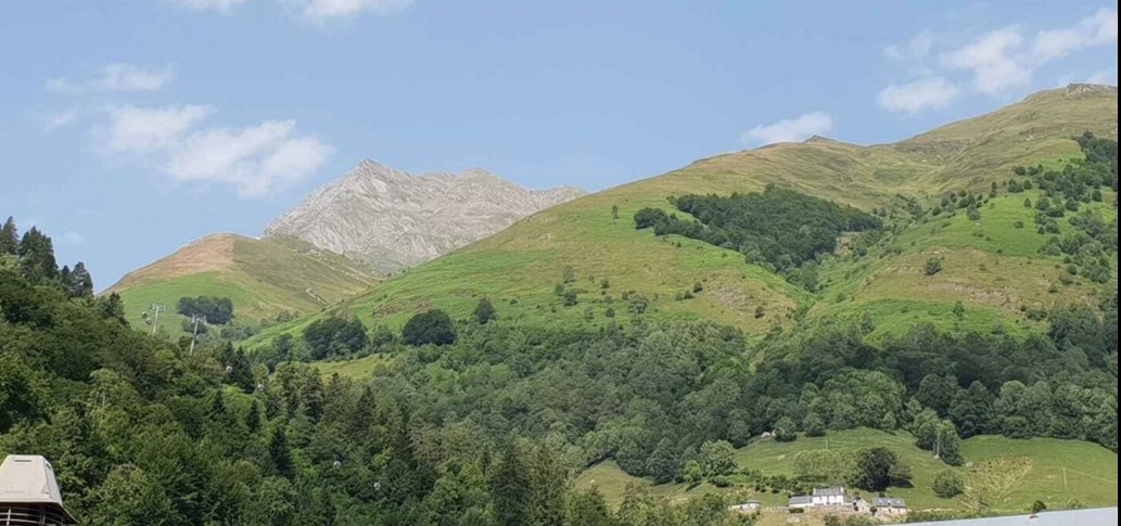 n°8